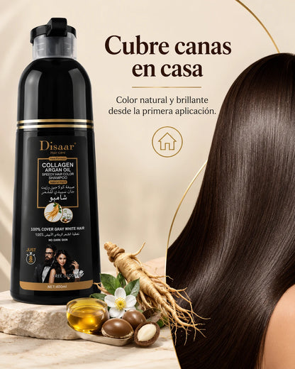Cubre Tus Canas en Casa en 5 Minutos — Shampoo Pigmentante Sin Amoniaco